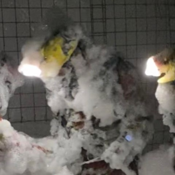 Meet your Posher, Matthew - Picture 1 of 1